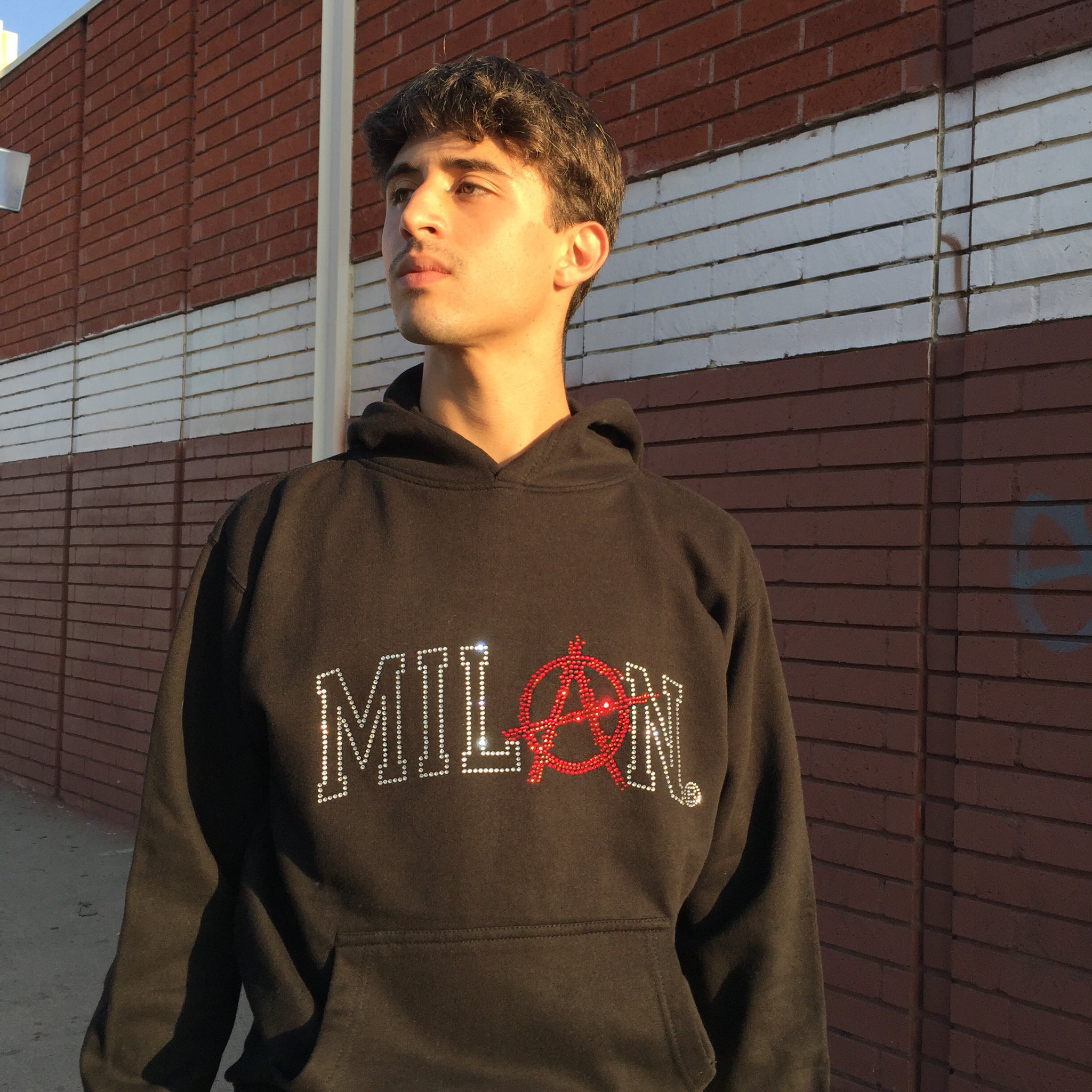 MILAN CRYSTAL HOODIE