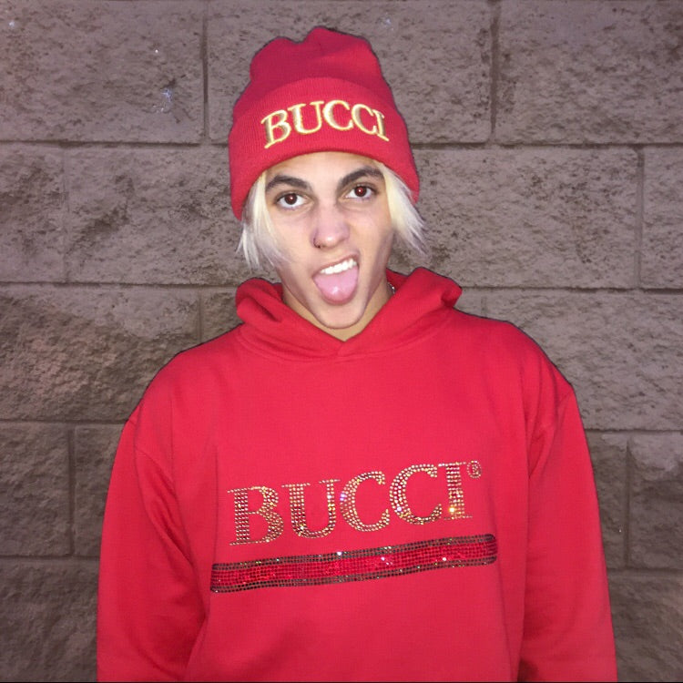 BUCCI CRYSTAL HOODIE